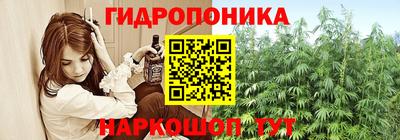 прущие крисы Усть-Джегута