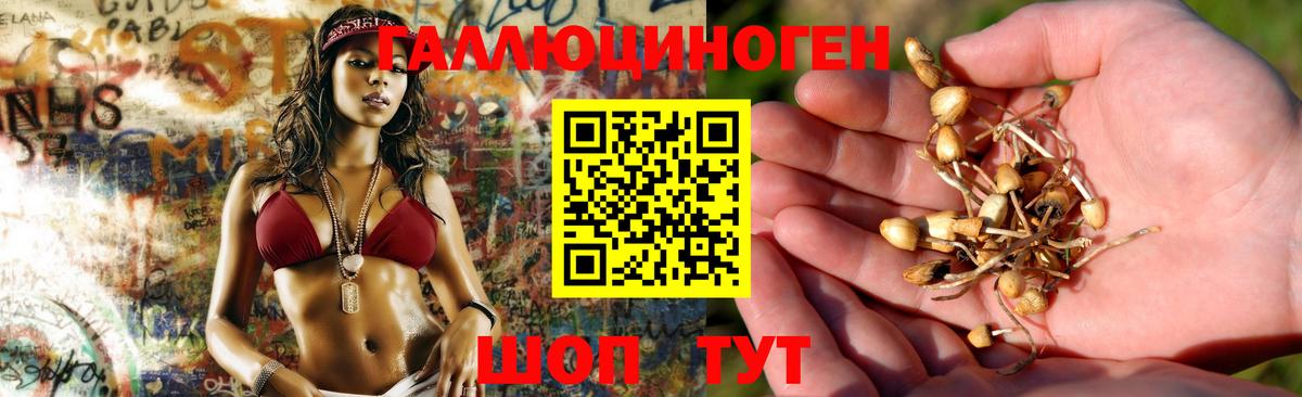 Похвистнево  Псилоцибиновые грибы Cubensis  Вход с VPN 