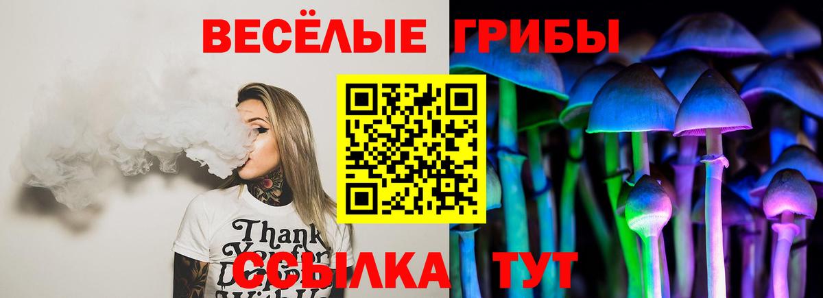 Галлюциногенные грибы мицелий Похвистнево
